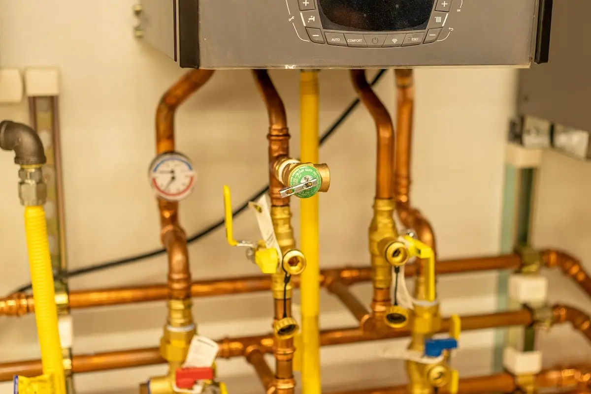 Licensed technician providing Emergency Plumbing for a homeowner in Boscobel